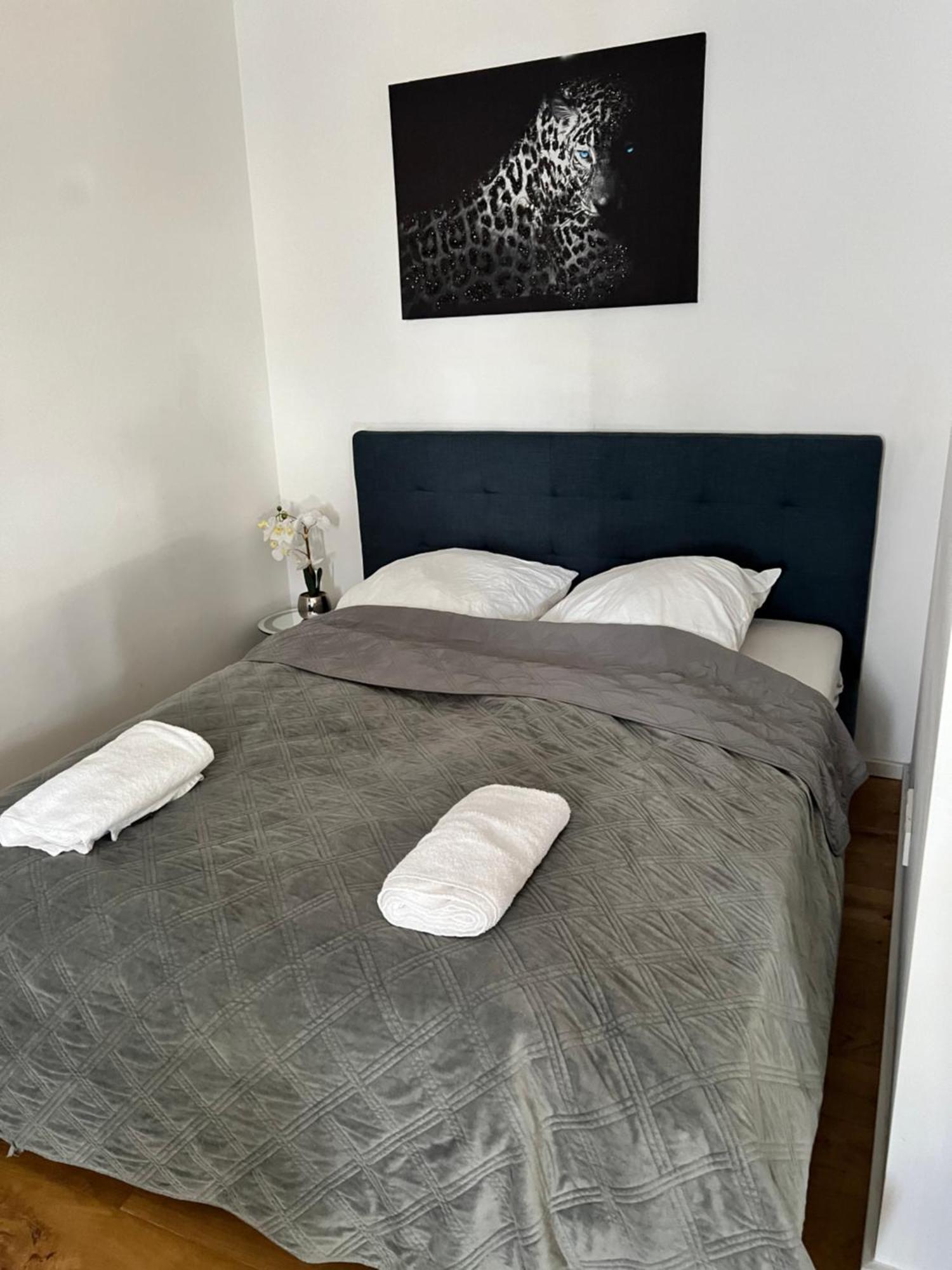 Cologne City Apartment Kostenlose Parkplatz Free Parking Exteriör bild